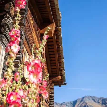 Mayen De Charme, Val D 'herens, Valais, شاليه